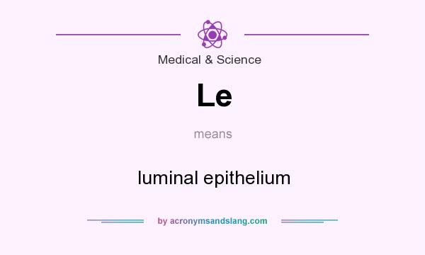 What does Le mean? It stands for luminal epithelium