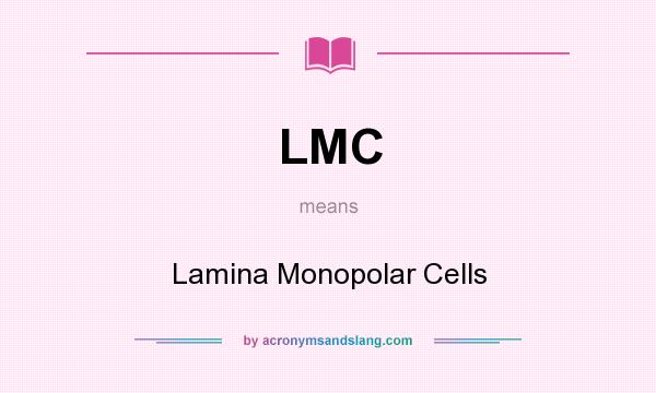 What does LMC mean? It stands for Lamina Monopolar Cells