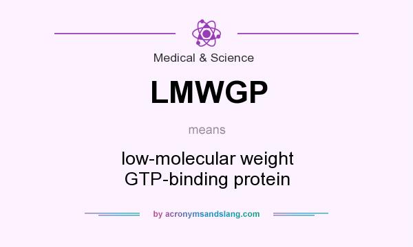 What does LMWGP mean? It stands for low-molecular weight GTP-binding protein