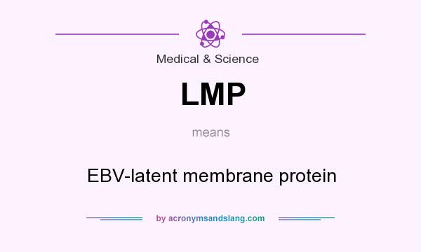 What does LMP mean? It stands for EBV-latent membrane protein