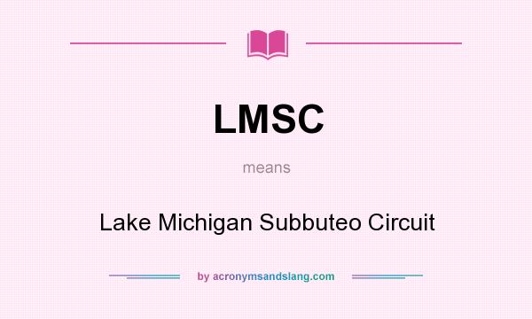 What does LMSC mean? It stands for Lake Michigan Subbuteo Circuit