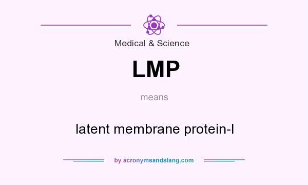 What does LMP mean? It stands for latent membrane protein-I