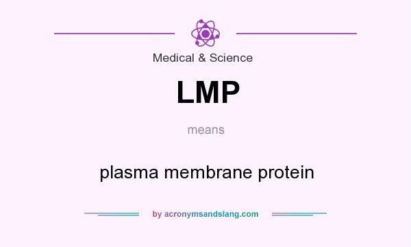 What does LMP mean? It stands for plasma membrane protein