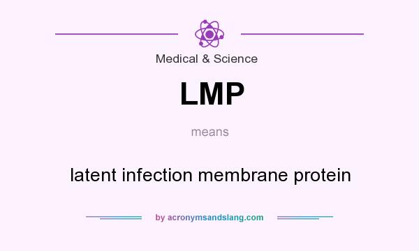 What does LMP mean? It stands for latent infection membrane protein