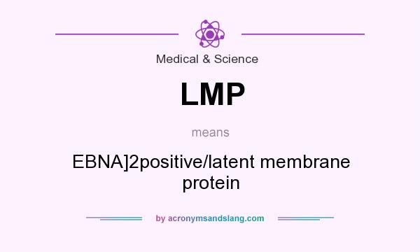 What does LMP mean? It stands for EBNA]2positive/latent membrane protein