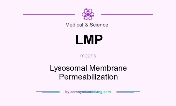 What does LMP mean? It stands for Lysosomal Membrane Permeabilization