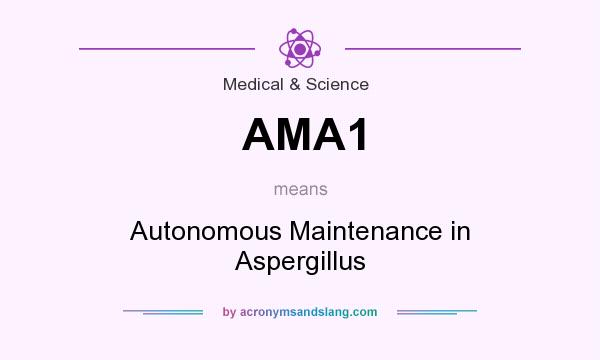 What does AMA1 mean? It stands for Autonomous Maintenance in Aspergillus