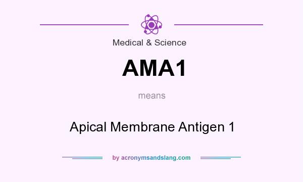 What does AMA1 mean? It stands for Apical Membrane Antigen 1