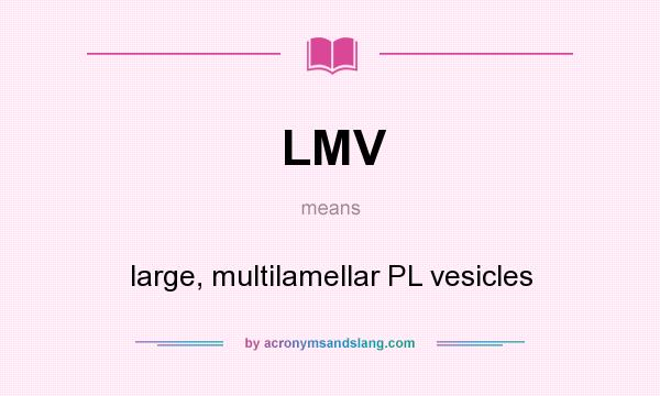 What does LMV mean? It stands for large, multilamellar PL vesicles