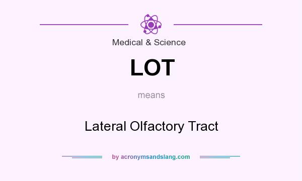 What does LOT mean? It stands for Lateral Olfactory Tract