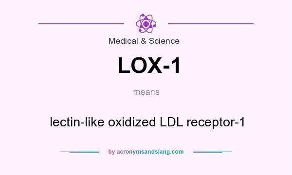 What does LOX-1 mean? It stands for lectin-like oxidized LDL receptor-1