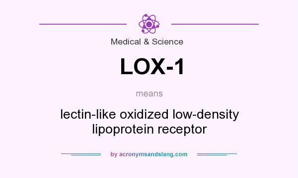 What does LOX-1 mean? It stands for lectin-like oxidized low-density lipoprotein receptor