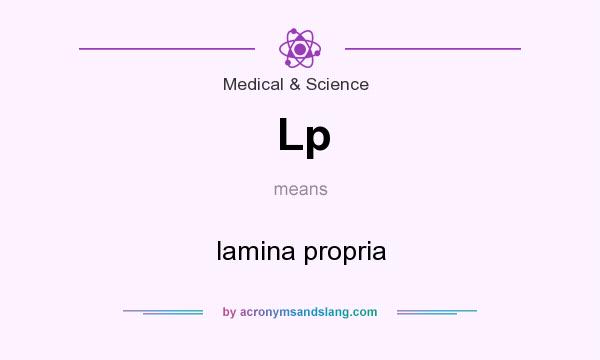 What does Lp mean? It stands for lamina propria