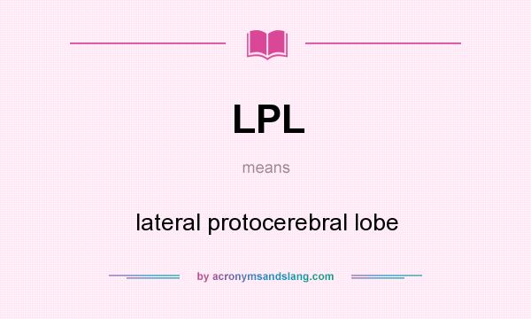 What does LPL mean? It stands for lateral protocerebral lobe