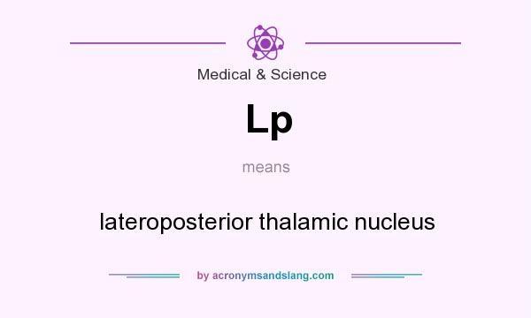 What does Lp mean? It stands for lateroposterior thalamic nucleus
