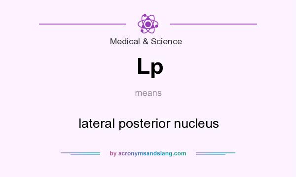 What does Lp mean? It stands for lateral posterior nucleus