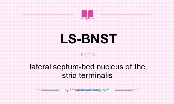 What does LS-BNST mean? It stands for lateral septum-bed nucleus of the stria terminalis