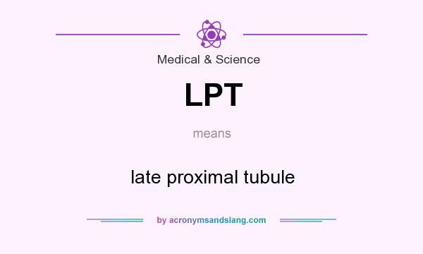 What does LPT mean? It stands for late proximal tubule