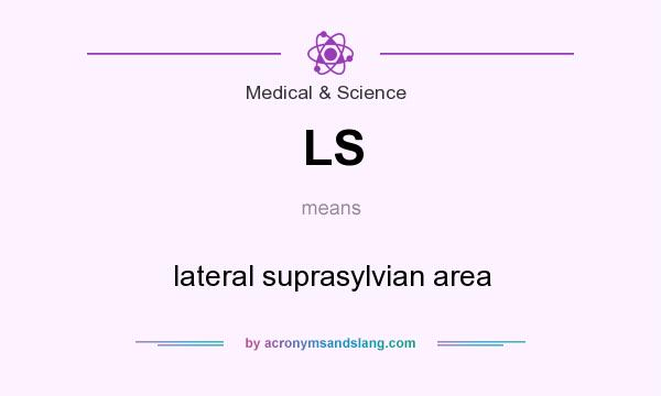 What does LS mean? It stands for lateral suprasylvian area