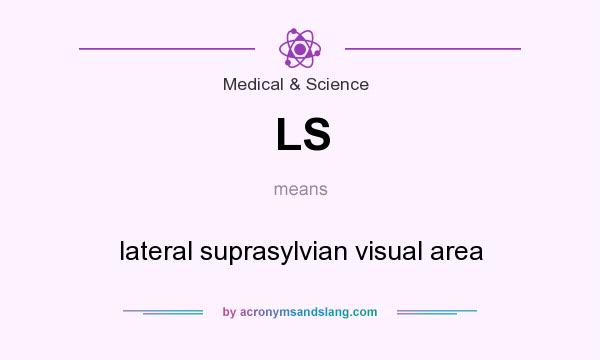 What does LS mean? It stands for lateral suprasylvian visual area