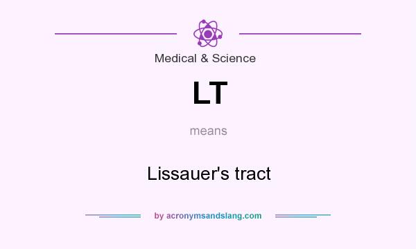What does LT mean? It stands for Lissauer`s tract