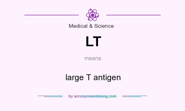 What does LT mean? It stands for large T antigen