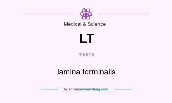 What does LT mean? It stands for lamina terminalis