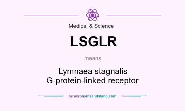 What does LSGLR mean? It stands for Lymnaea stagnalis G-protein-linked receptor