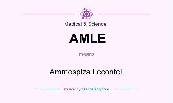 What does AMLE mean? It stands for Ammospiza Leconteii