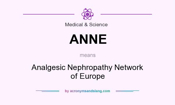 What does ANNE mean? It stands for Analgesic Nephropathy Network of Europe