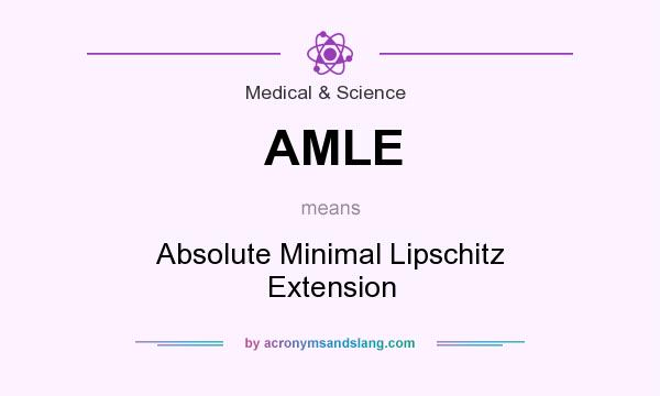 What does AMLE mean? It stands for Absolute Minimal Lipschitz Extension