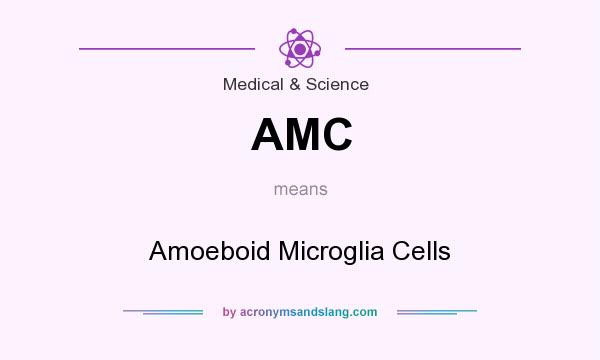 What does AMC mean? It stands for Amoeboid Microglia Cells