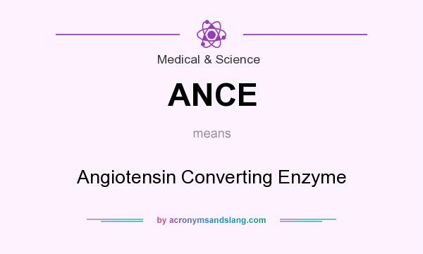 What does ANCE mean? It stands for Angiotensin Converting Enzyme