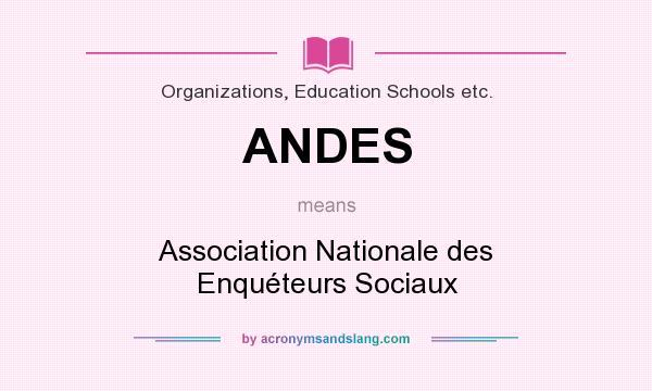 What does ANDES mean? It stands for Association Nationale des Enquéteurs Sociaux