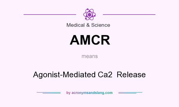 What does AMCR mean? It stands for Agonist-Mediated Ca2  Release