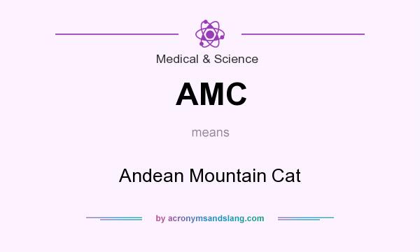 What does AMC mean? It stands for Andean Mountain Cat