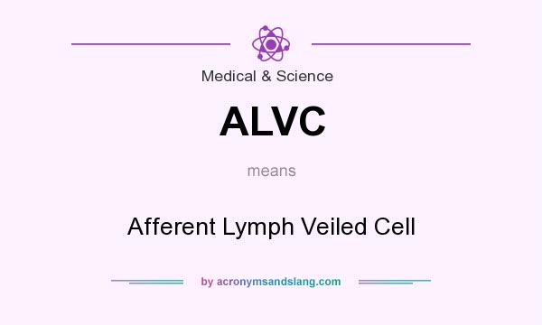 What does ALVC mean? It stands for Afferent Lymph Veiled Cell