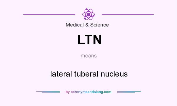 What does LTN mean? It stands for lateral tuberal nucleus