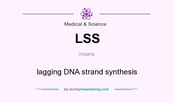 What does LSS mean? It stands for lagging DNA strand synthesis