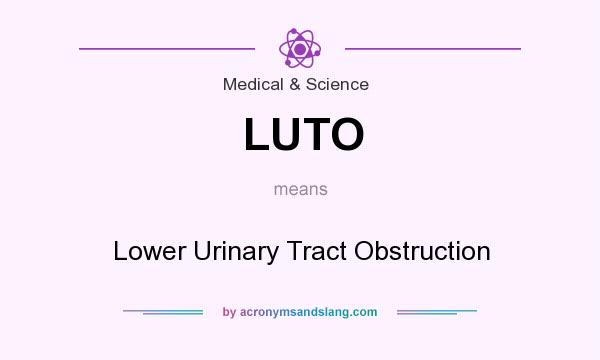What does LUTO mean? It stands for Lower Urinary Tract Obstruction