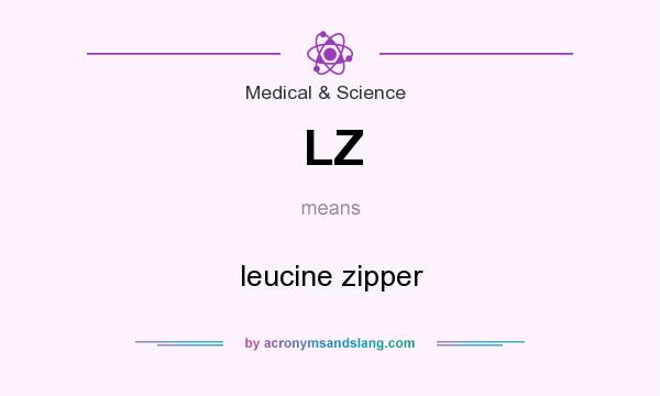 What does LZ mean? It stands for leucine zipper