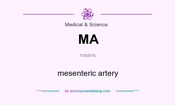 What does MA mean? It stands for mesenteric artery
