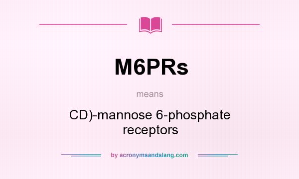 What does M6PRs mean? It stands for CD)-mannose 6-phosphate receptors