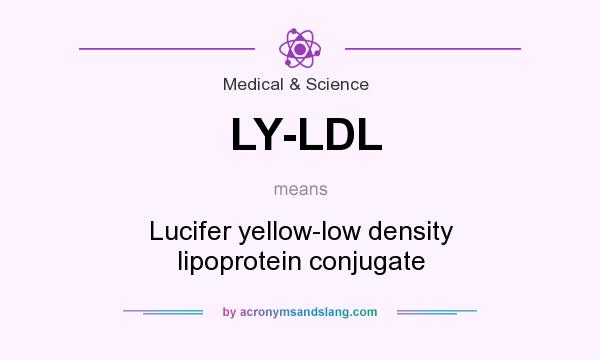 What does LY-LDL mean? It stands for Lucifer yellow-low density lipoprotein conjugate