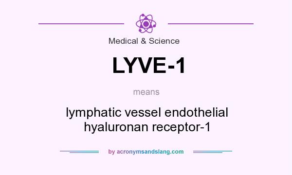 What does LYVE-1 mean? It stands for lymphatic vessel endothelial hyaluronan receptor-1