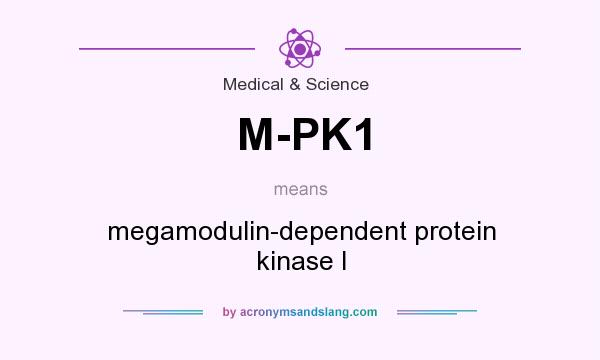 What does M-PK1 mean? It stands for megamodulin-dependent protein kinase I