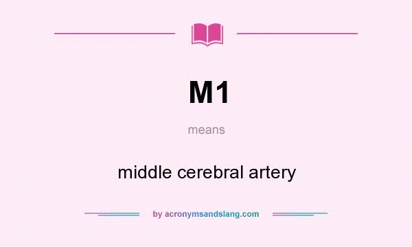 What does M1 mean? It stands for middle cerebral artery