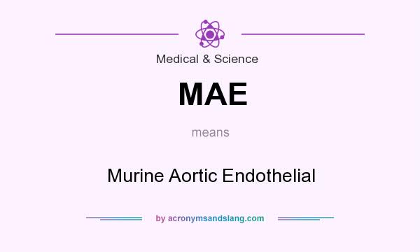 What does MAE mean? It stands for Murine Aortic Endothelial