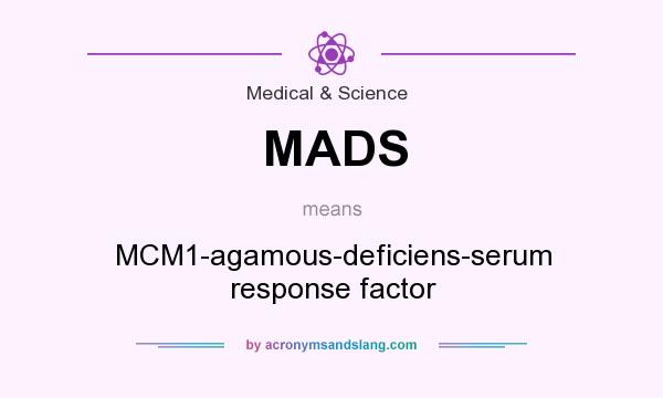 What does MADS mean? It stands for MCM1-agamous-deficiens-serum response factor