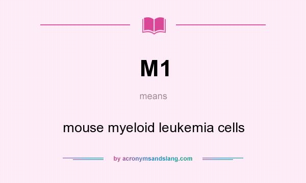 What does M1 mean? It stands for mouse myeloid leukemia cells